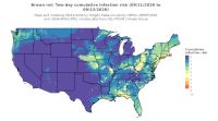 thumbs/BROT_Cum_Inf_Risk_2day_20260913.t.jpg