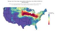 thumbs/BROT_Cum_Inf_Risk_4day_20260816.t.jpg