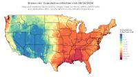 thumbs/BROT_Cum_Inf_Risk_Total_20260816.t.jpg