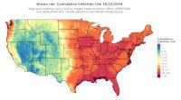 thumbs/BROT_Cum_Inf_Risk_Total_20261013.t.jpg