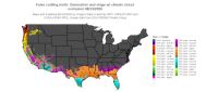 FCM_cohorts/FCM_StageCount_Excl1_20260813.png
