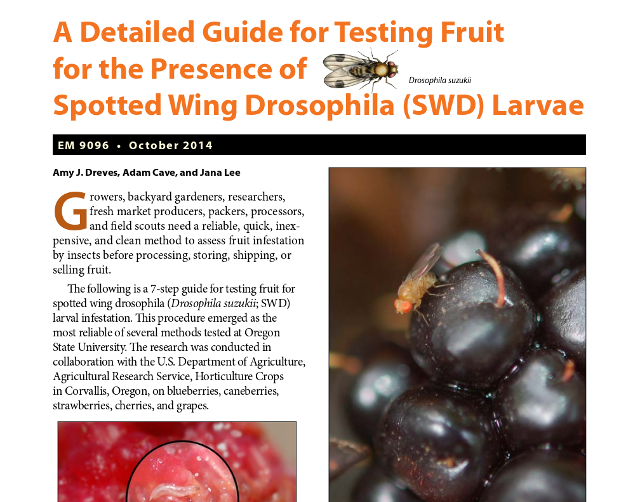 SWD Larval Sampling PDF